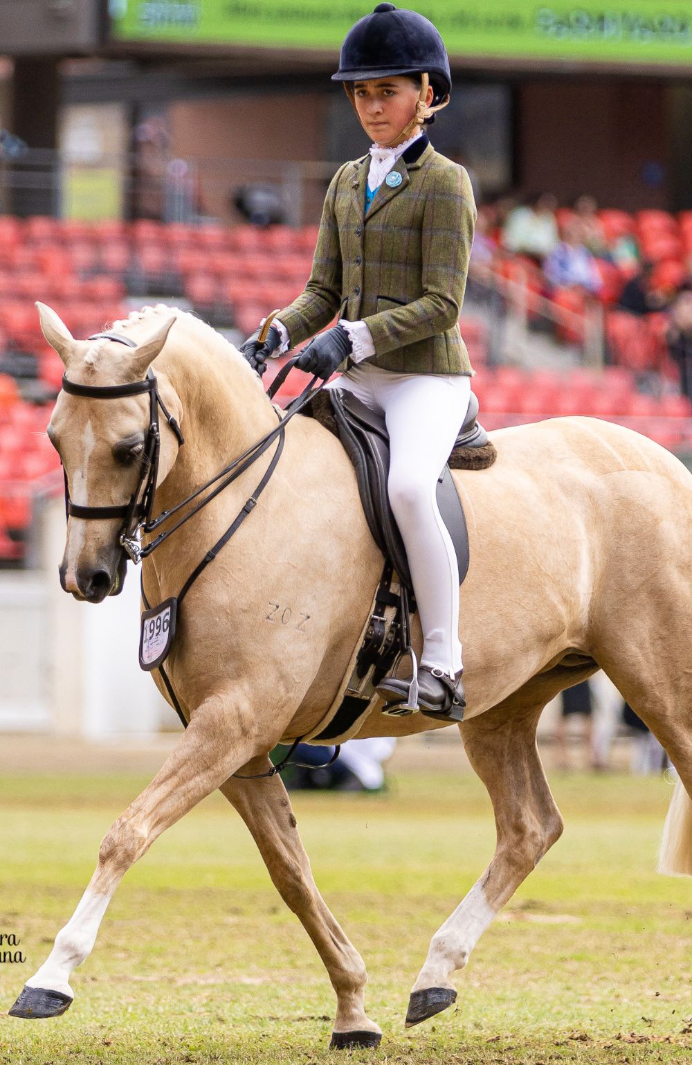 Bare Equestrian - Youth Competition Wear
