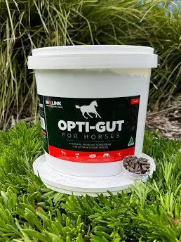 Opti-Gut Probiotic for Horses