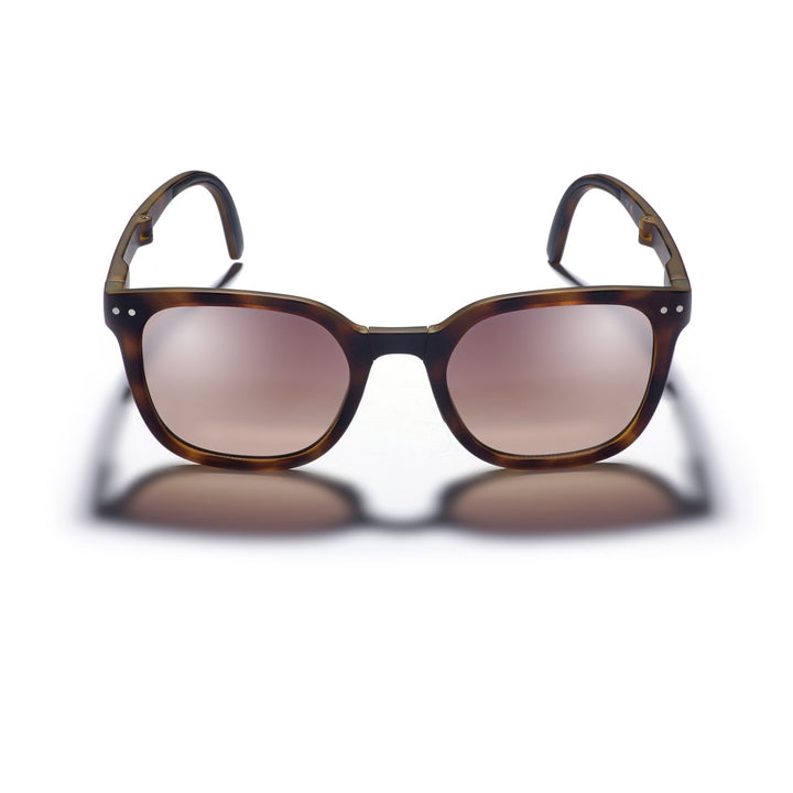 Gidgee Eyes - Canter Sunglasses in Tortosie