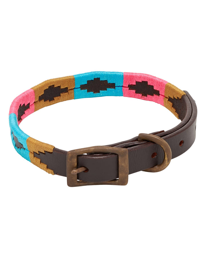 Fort Worth - Polo Dog Collar 1"