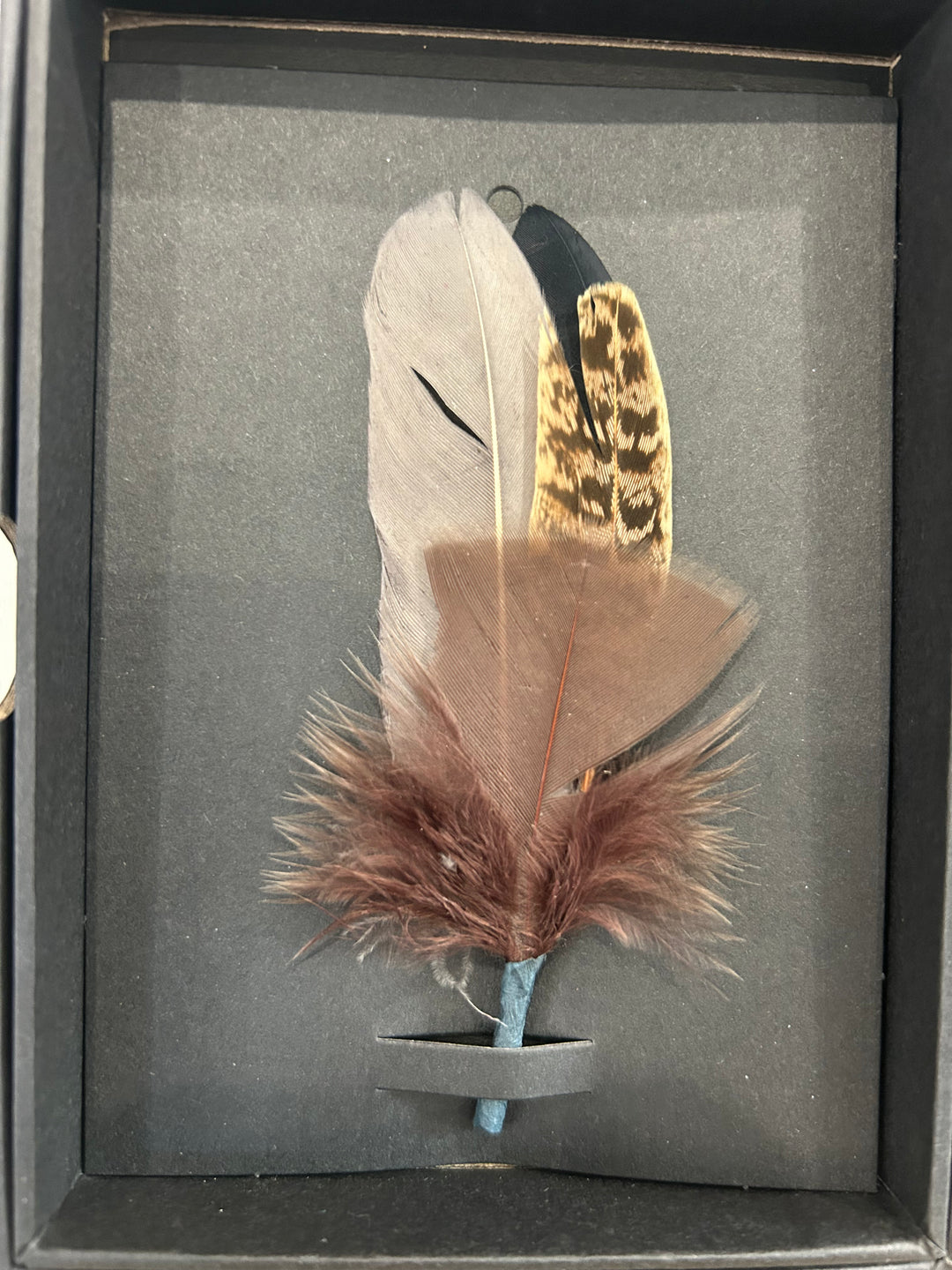 Avenel  - Genuine Feather Bound Plume