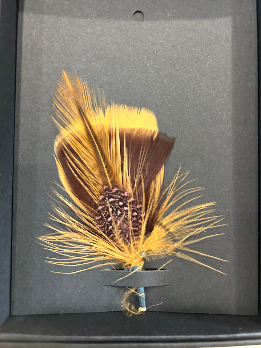 Avenel  - Genuine Feather Bound Plume