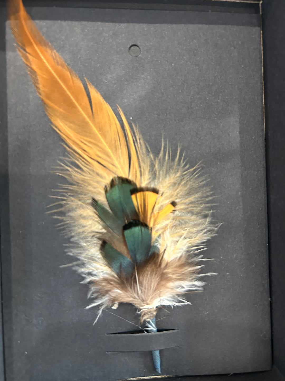 Avenel  - Genuine Feather Bound Plume