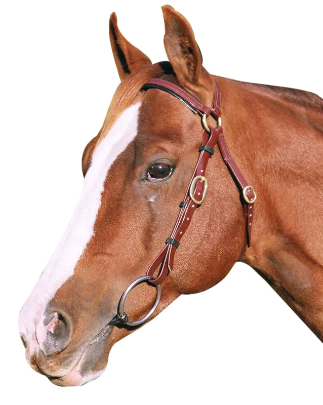 Showcraft - PVC Barcoo Bridle