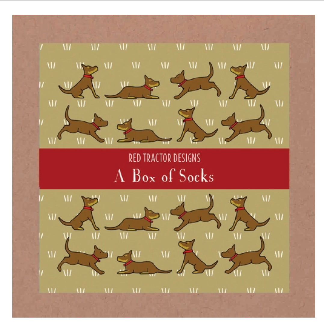 Red Tractor Designs - Boxed Set Socks - Red&Tan Kelpies