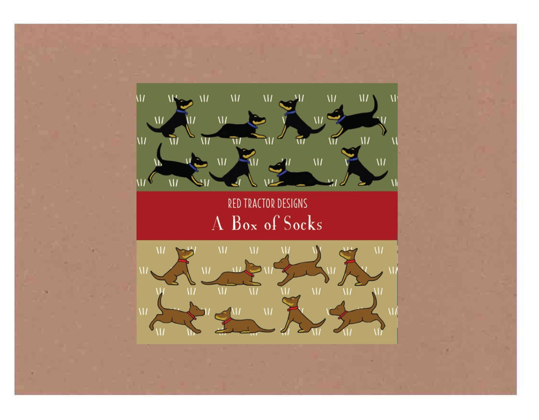 Red Tractor Designs - Boxed Set Socks - Red&Tan and Black&Tan Kelpies