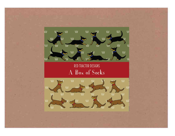 Red Tractor Designs - Boxed Set Socks - Red&Tan and Black&Tan Kelpies