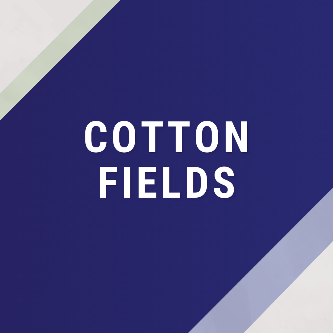 Cottonfields