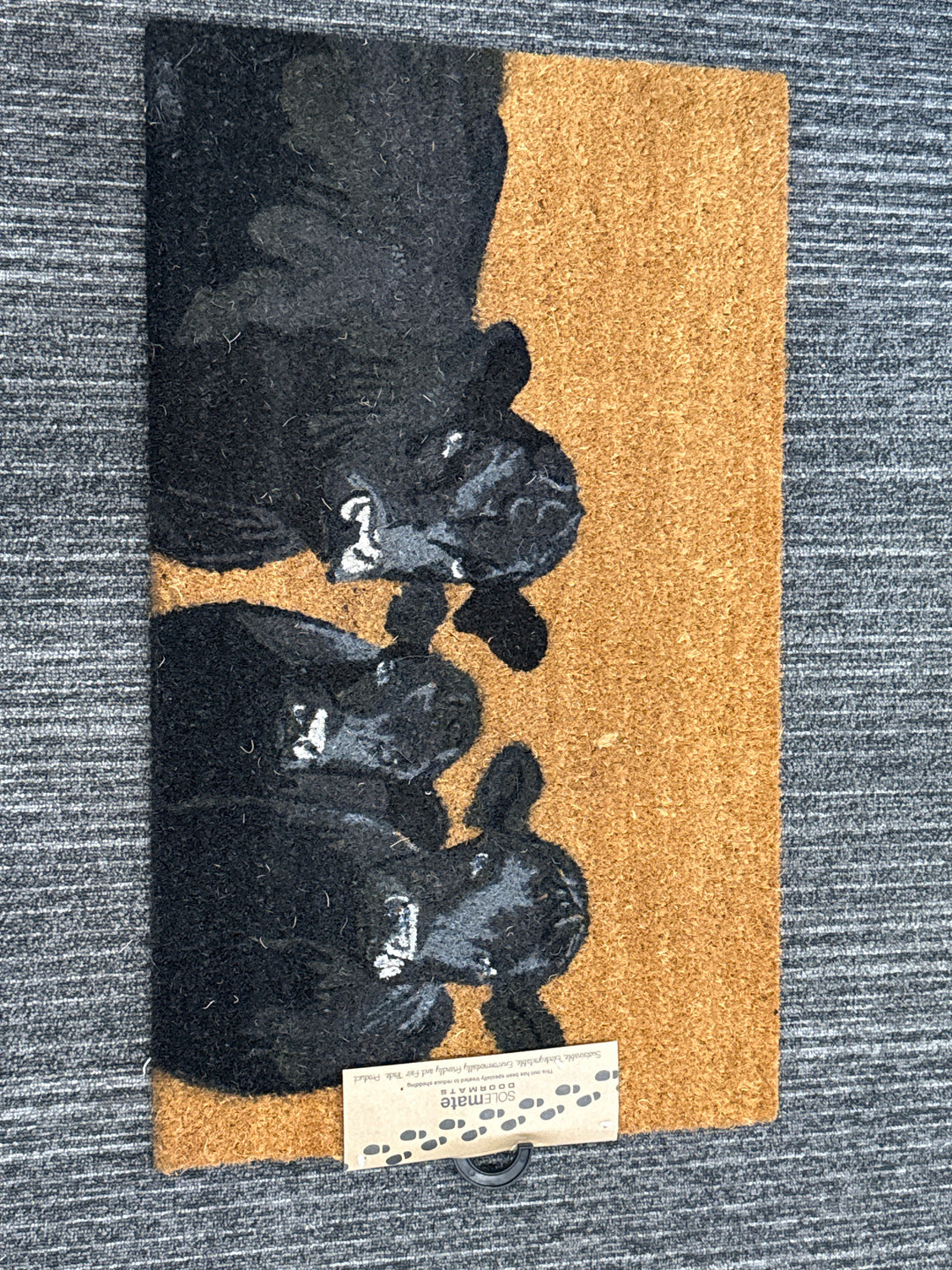 SOLEMATE DOORMAT - Angus Cows 45 x 75