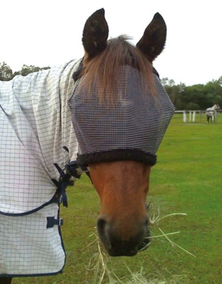 STC - Citronella Scented Fly Mask
