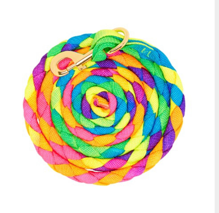 Bambino - Hand Braided Poly Lead rope in Rainbow