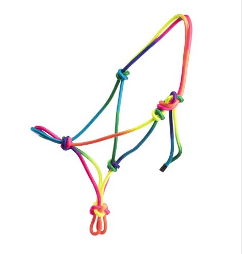Bambino - Rainbow Rope Halter