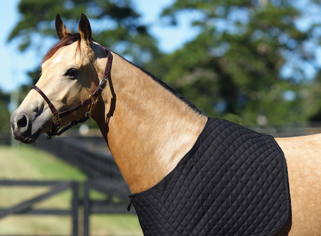Showmaster - Quilted Rug Bib