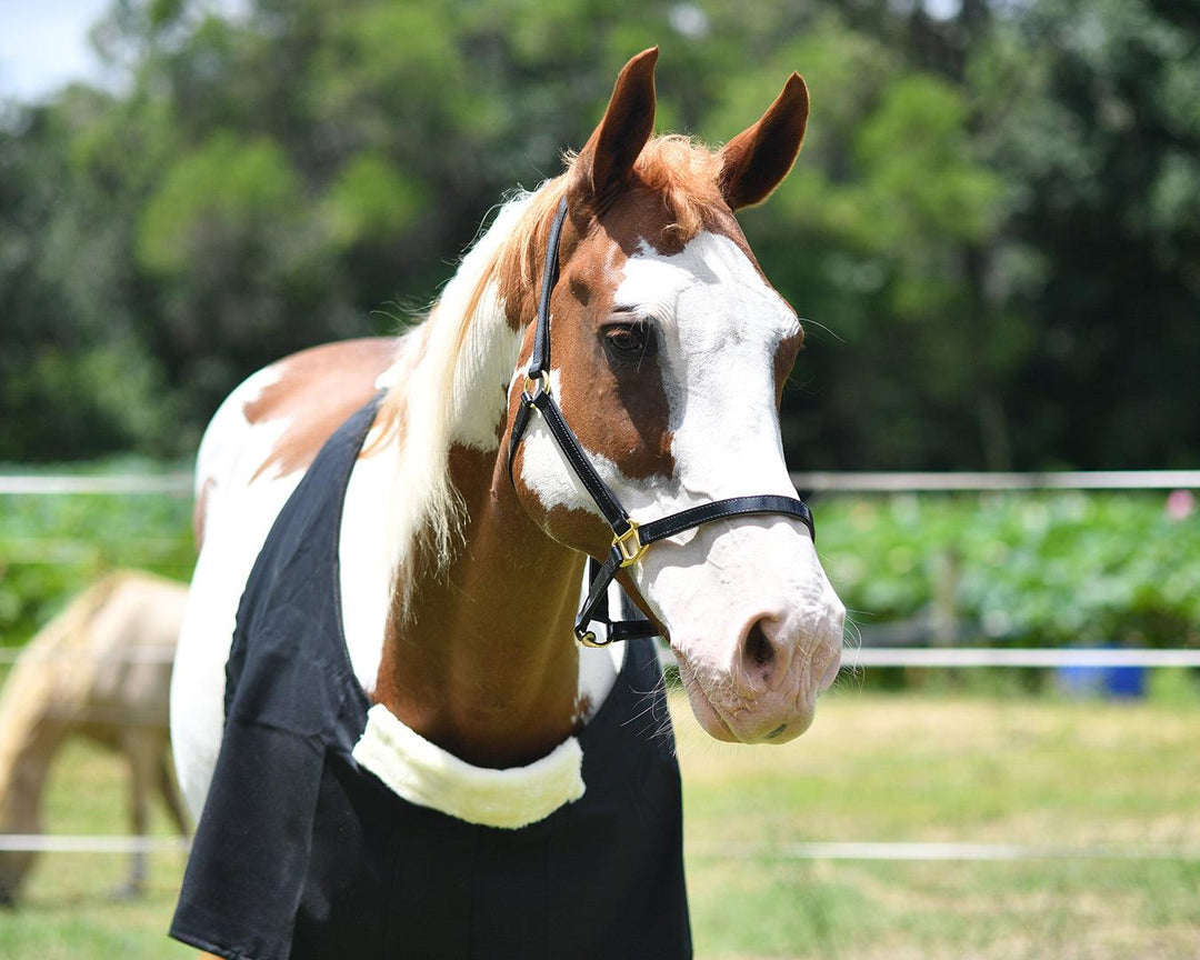 STC - Cotton Drill Rug Bib