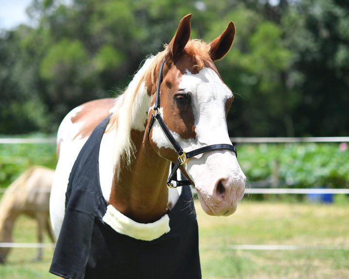 STC - Cotton Drill Rug Bib