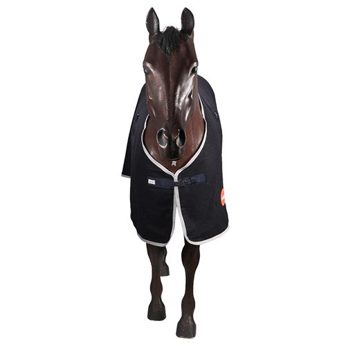 Kozy - 450GSM Kersey Wool Rug