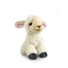 Kormico - Lamb