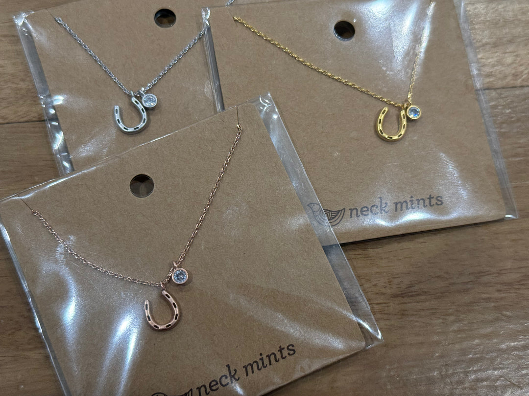 Fabienne - CUBIC CHARM & HORSESHOE NECKLACE