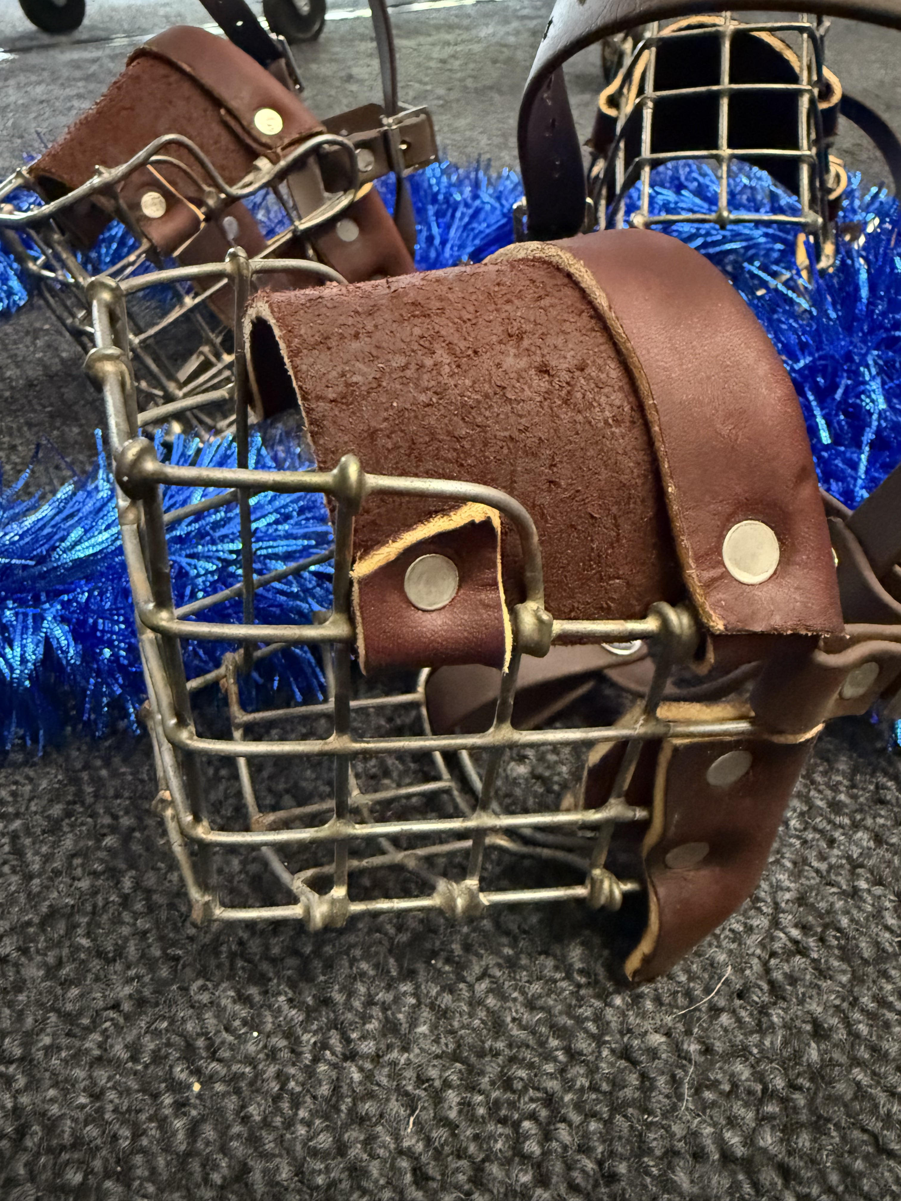 Dog Muzzle – The Back Paddock 3311