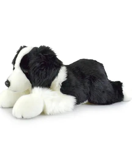Kormico - Border Collie