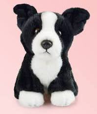 Kormico - Border Collie
