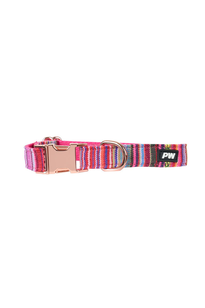 Pure Western - Bowie Dog Collar W25