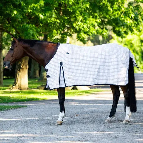 Eureka - Deluxe Cotton Rug