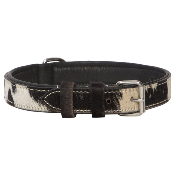 TDE - Tooled Leather Dog Collar DC-01