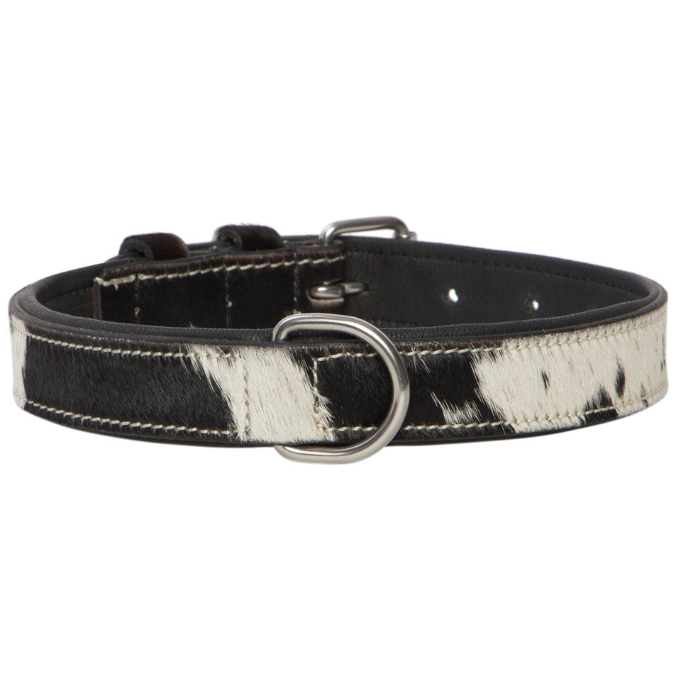 TDE - Tooled Leather Dog Collar DC-01