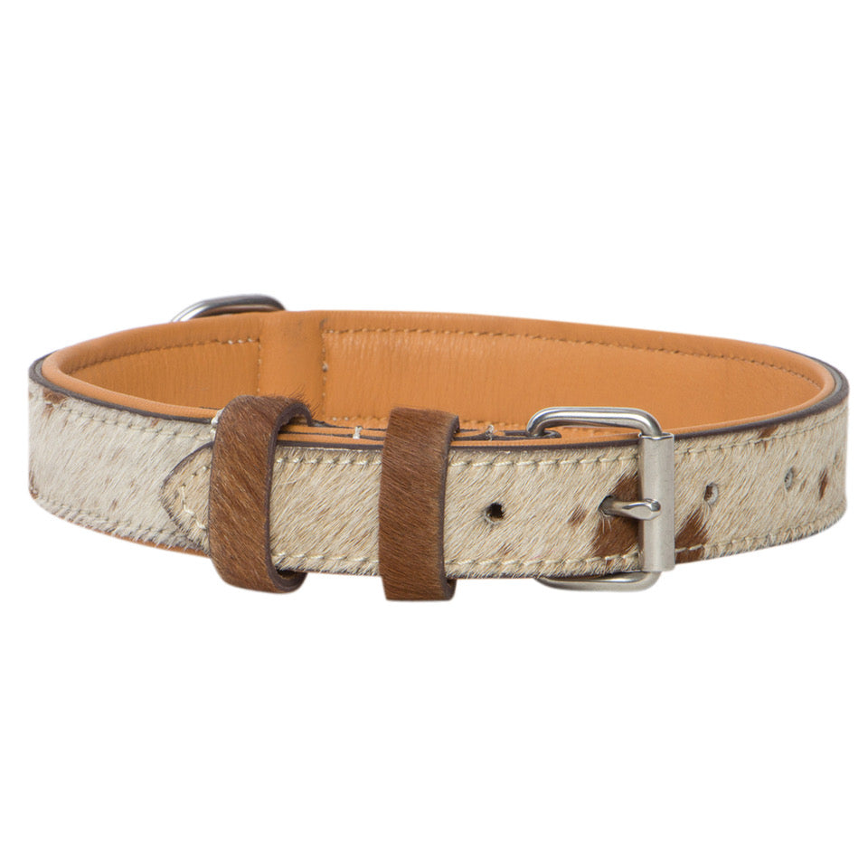 TDE - Tooled Leather Dog Collar DC-01