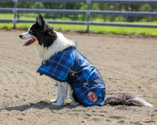 Thermo Master - Supreme Dog Coat in Blue Tartan