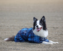 Thermo Master - Supreme Dog Coat in Blue Tartan