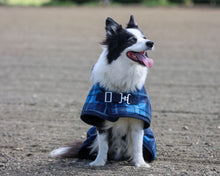 Thermo Master - Supreme Dog Coat in Blue Tartan