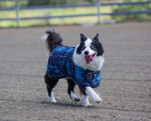 Thermo Master - Supreme Dog Coat in Blue Tartan