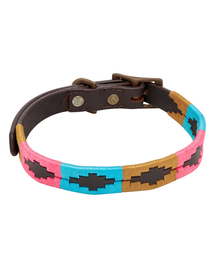 Fort Worth - Polo Dog Collar 1"