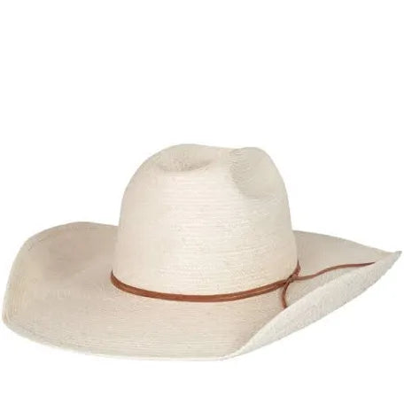 Gifts & Accessories