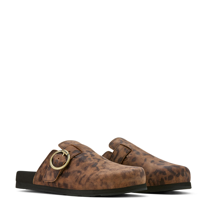 Ariat - Womens Country Mule in Leopard Suede