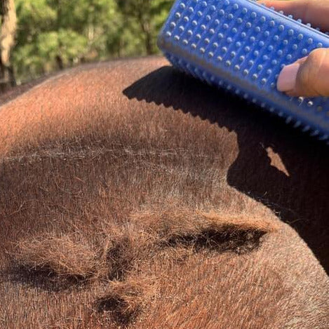 Hairy Pony - Grooming Block