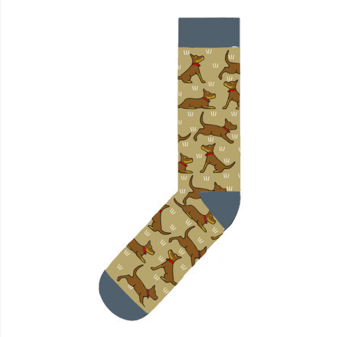 Red Tractor Designs -  Red&Tan Kelpie Socks