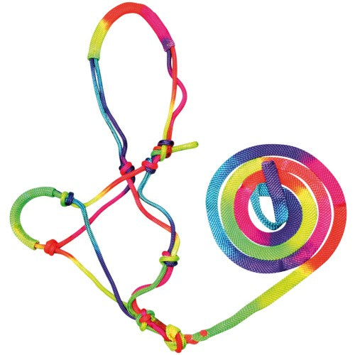 Bambino - Knotted Halter & Lead in Rainbow (cob/full size)