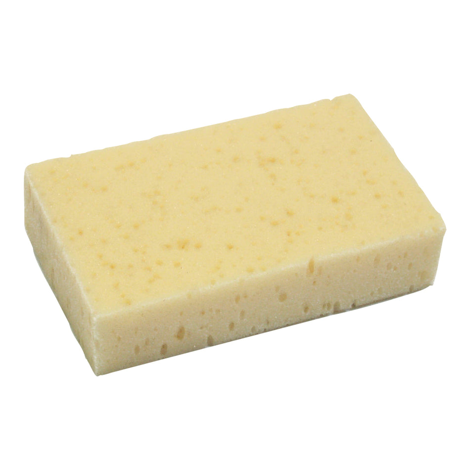 Eureka - Grooming Sponge 5738