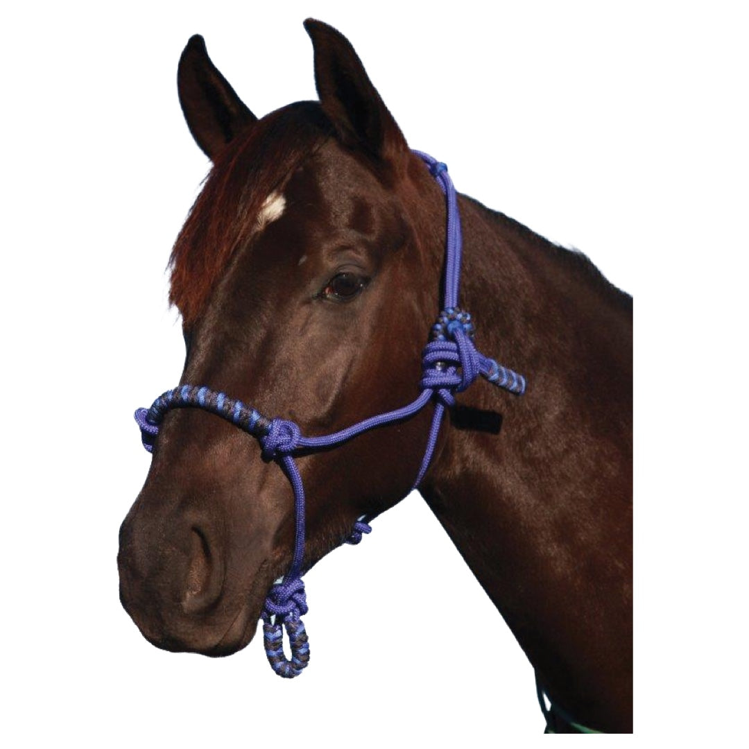 Navaho - Two Tone Woven Rope Halter in Royal/Pale Blue – The Back ...