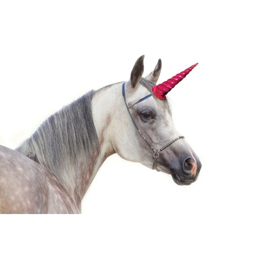 Clip on unicorn horn