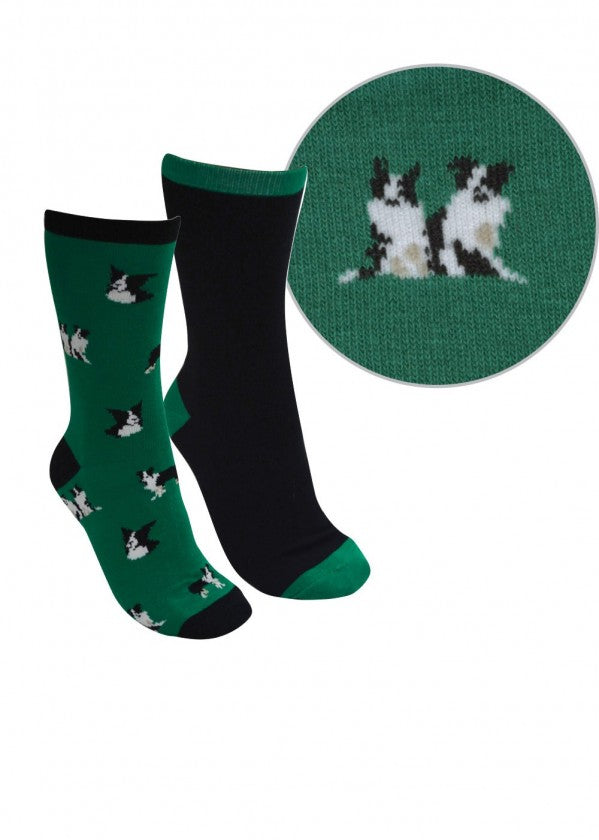 Thomas Cook - Kids Green/Dogs Farmyard Socks